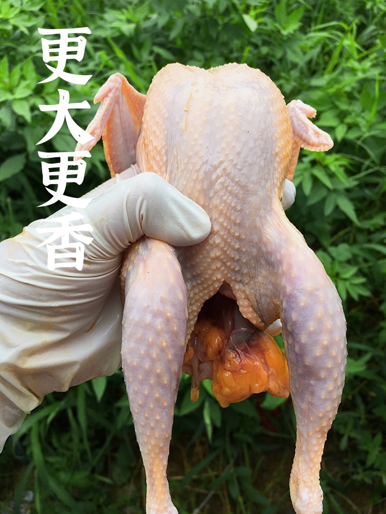 微信图片_20230429222732.jpg
