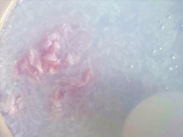 青菜瘦肉粥的做法（青菜瘦肉粥怎么做好吃）(7)