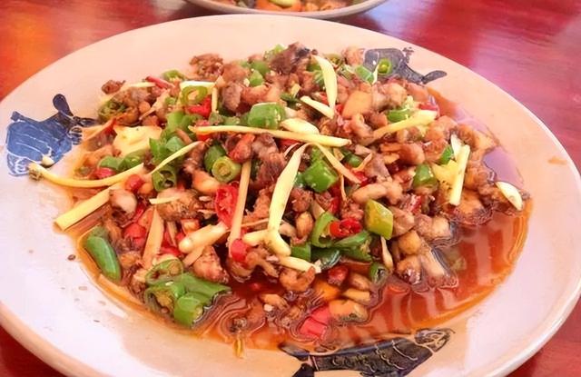 鸡肉做菜怎么做好吃又简单（鸡肉川菜菜谱大全家常）(9)